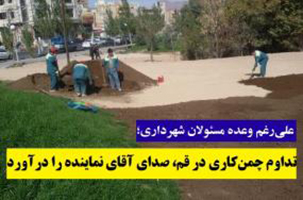 تداوم چمن‌کاری در قم، صدای آقای نماینده را درآورد!