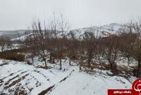 لباس سفید زمستان بر تن روستای خاوه+تصاویر