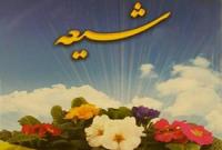 از آمریکای لاتین تا مرکز تشیع در قم / مسیری که جوان آرژانتینی برای رسیدن به دین راستین پیمود + فیلم