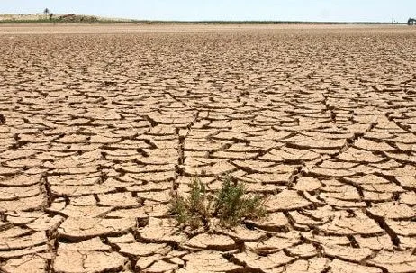 یادآوری عاقبت الامور در شب تجلیل از خبرنگاران
