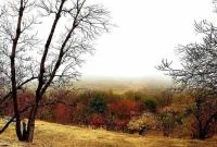 نمایی زیبا از «روستای کرمجگان» در قم +تصاویر