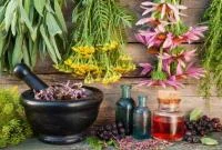 شناسایی و ضبط گیاهان دارویی بدون مجوز در قم