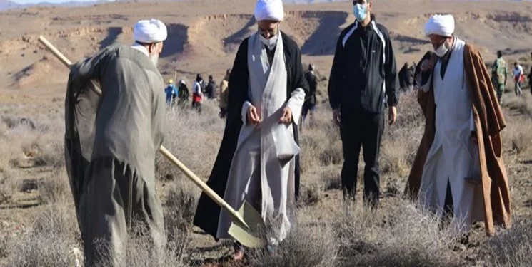 احیا و توسعه گیاهان دارویی در ۳۰۰ هکتار از مراتع کاسوا قم