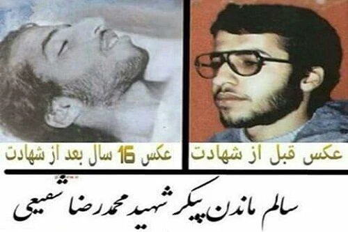 یادواره شهید محمدرضا شفیعی برگزار شد