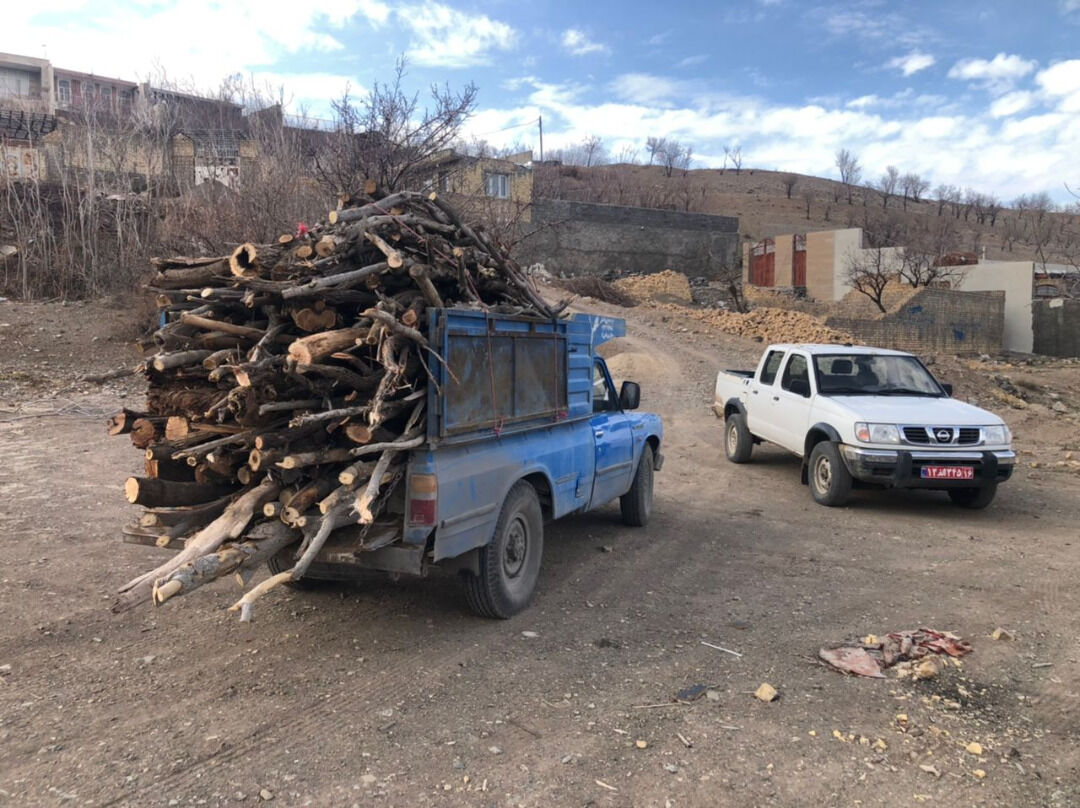 محیط بانان محموله غیرمجاز چوب در کهک قم را توقیف کردند