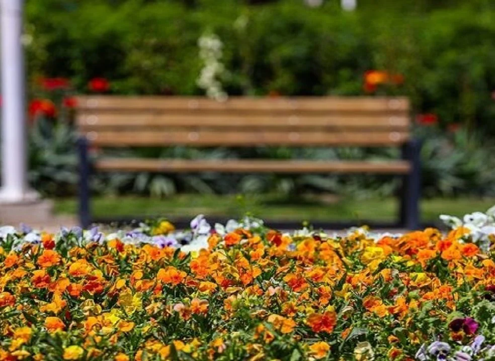 افتتاح هشتمین بوستان بانوان و خانواده در قم