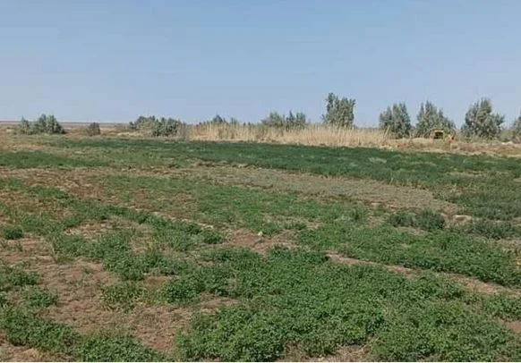 یک‌هزار و ۱۷۰ هکتار اراضی برای احداث فضای سبز به شهرداری قم واگذار می‌شود