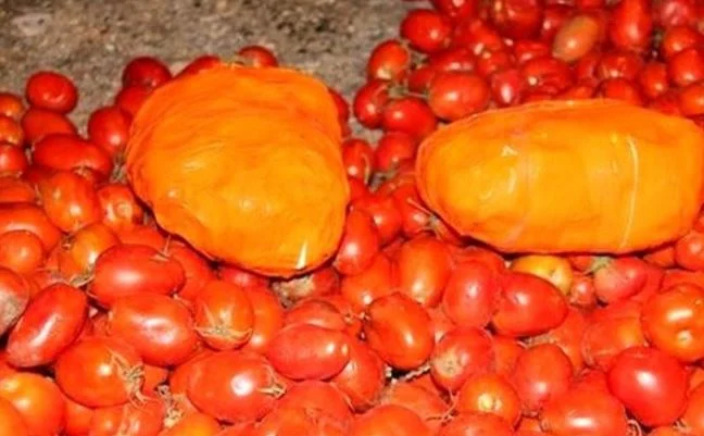 کشف ۹۴ کیلو حشیش در بار گوجه فرنگی توسط پلیس قم