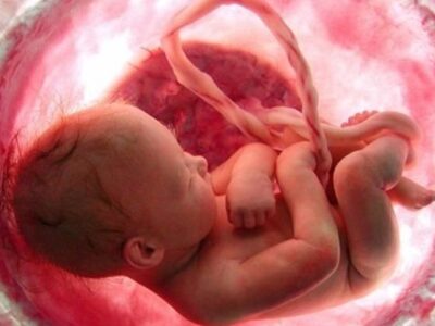 طرح نفس برای جلوگیری از سقط در قم اجرایی شد