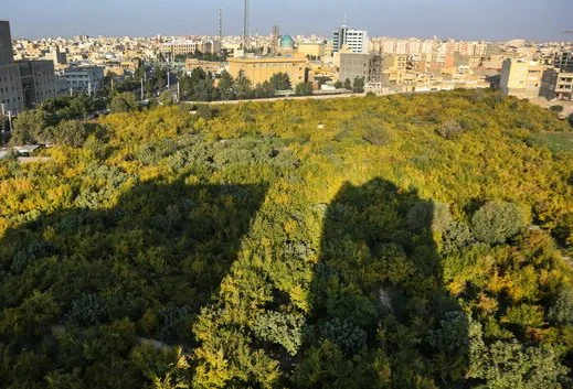 احیای باغات باقی‌مانده شهر قم با تهیه بسته حمایتی برای مالکین