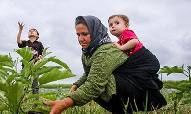 ۲۶ صندوق اعتبارات خرد زنان روستایی در استان قم فعال است