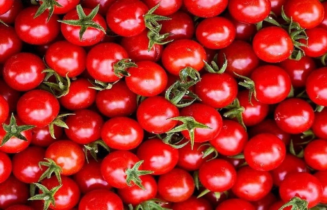 چیپس گوجه قم در راه بازار