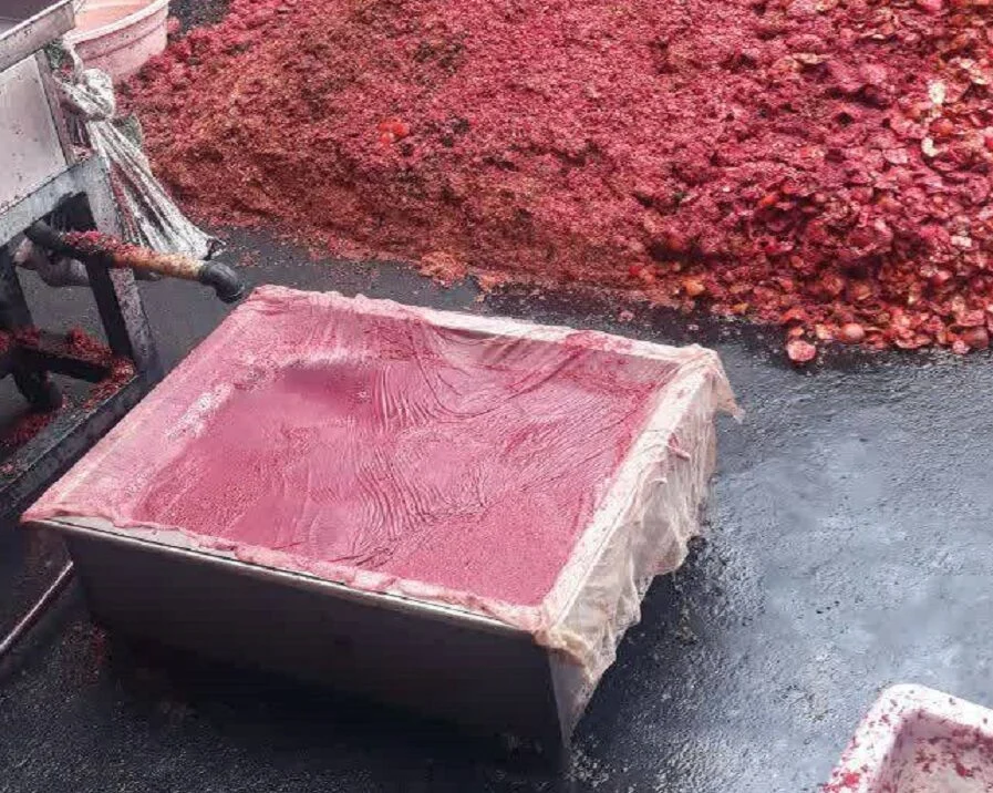 پلمب یک انبار بزرگ فرآورده های غیر بهداشتی انار در قم