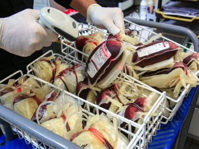 رشد ۸ درصدی اهدای خون طی هشت ماهه نخست امسال در قم