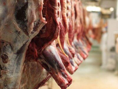 قیمت گوشت قرمز در بازار کنترل خواهد شد