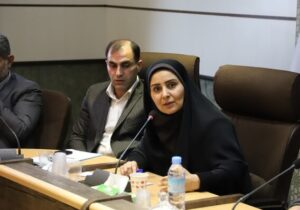 آسیب‌های مسکن مهر در نهضت ملی رفع خواهد شد