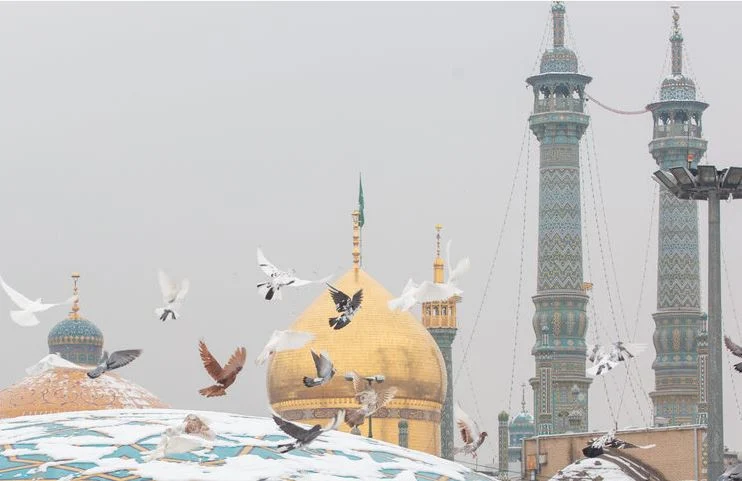 سپیدپوش شدن بوستانها و اماکن شهری از فراز شهر قم