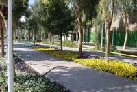 پیشرفت ۹۸درصدی طرح جامع فضای سبز قم