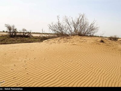 ۴۰ هزار هکتار کانون‌های بحرانی گردوغبار در قم ایجاد شده است