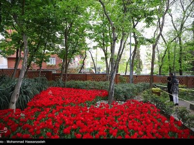 ۳ بوستان شهری در پردیسان قم احداث می‌شود