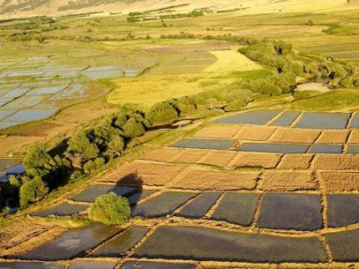 درخواست از بهره‌برداران کشاورزی غیرساکن قم برای تکمیل اطلاعات سرشماری