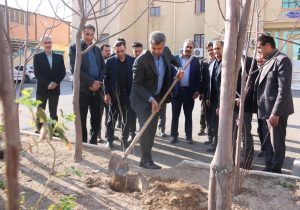 مراسم درختکاری توسط پر افتخارترین ورزشکار المپیکی ایران در قم برگزار شد