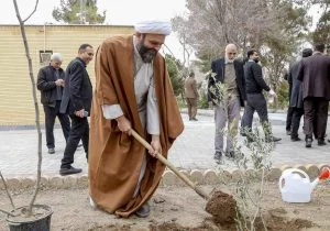 کاشت درخت یک وظیفه عمومی و سرمایه‌گذاری است