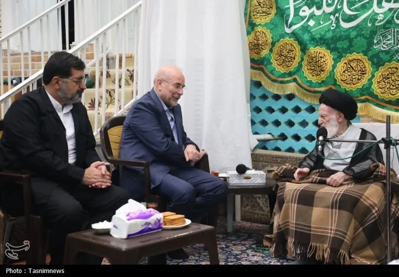 قالیباف با آیت‌الله شبیری زنجانی دیدار کرد+ تصاویر