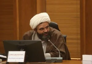 کارکردهای شوراها در کشور به حداقلی رسیده است