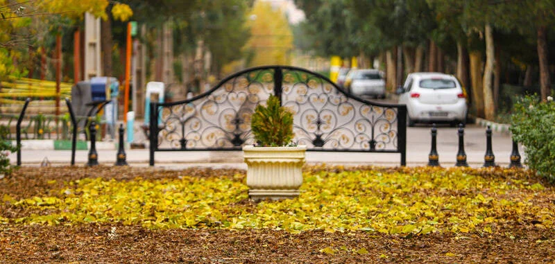 لزوم تبدیل پاییز هزاررنگ به یک رویداد واقعی شهروندی؛ از عکس تا داستان و نقاشی