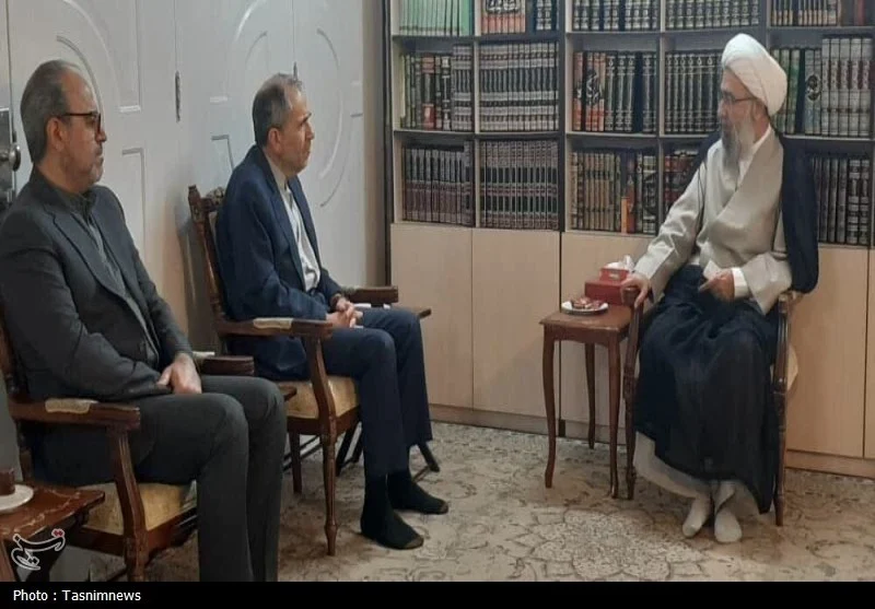 معاون وزیر امور خارجه با آیتالله مروی دیدار کرد