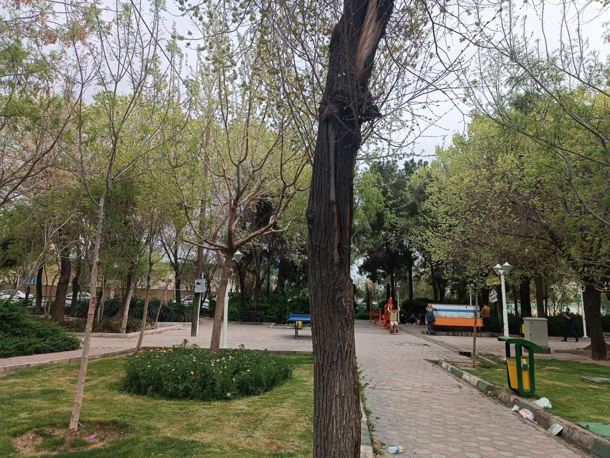 اقدامات زمستانه مدیریت شهری برای تقویت بافت گیاهی منطقه هفت