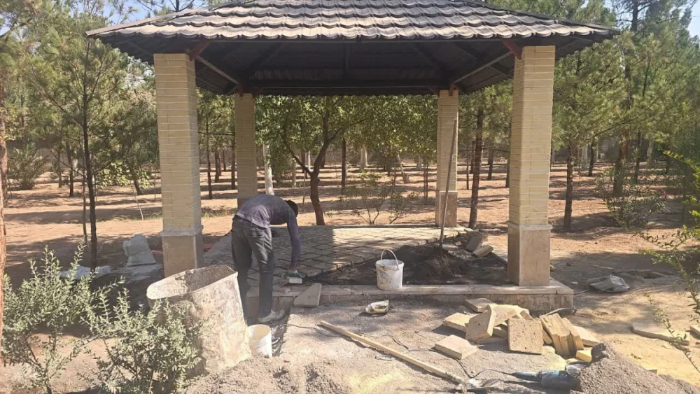 بهسازی ۳۲ آلاچیق و نصب مبلمان جدید در بوستان جنگلی علوی
