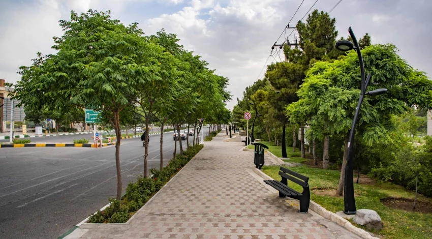 تأکید معاون خدمات شهری و محیط زیست شهرداری قم بر صیانت قانونمند از عرصه های فضای سبز و درختان