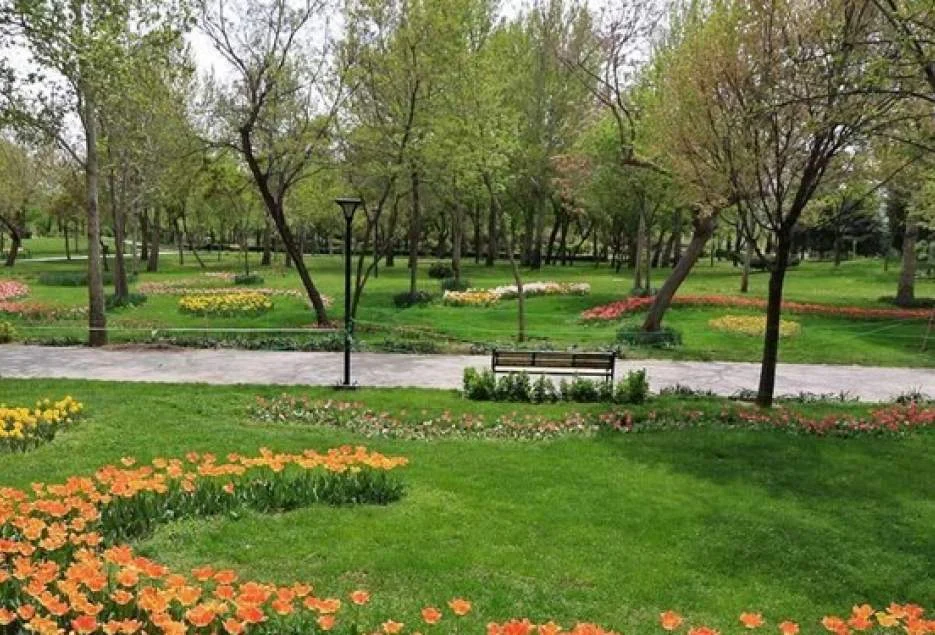 پیشرفت ۹۵ درصدی بوستان محلی «نقش و نگار» در منطقه یک قم
