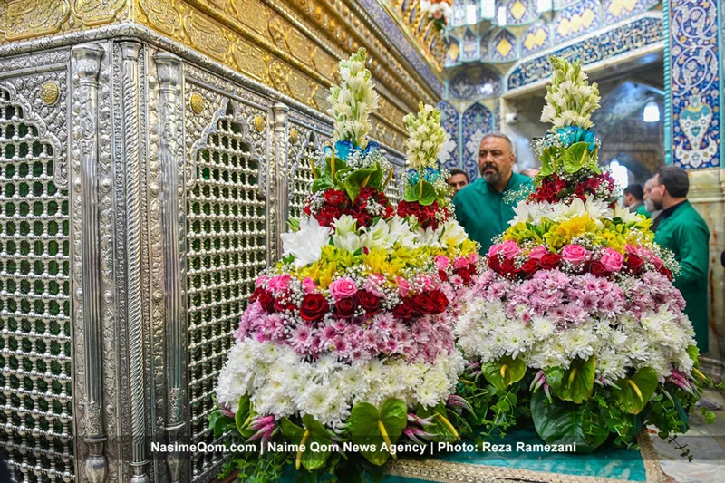 گل‌آرایی ضریح مطهر بانوی کریمه در آستانه ولادت امام رضا(ع)