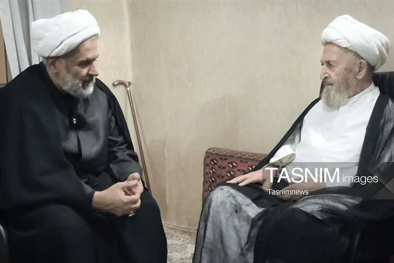 رئیس سازمان بسیج مستضعفین با آیت‌الله سبحانی دیدار کرد
