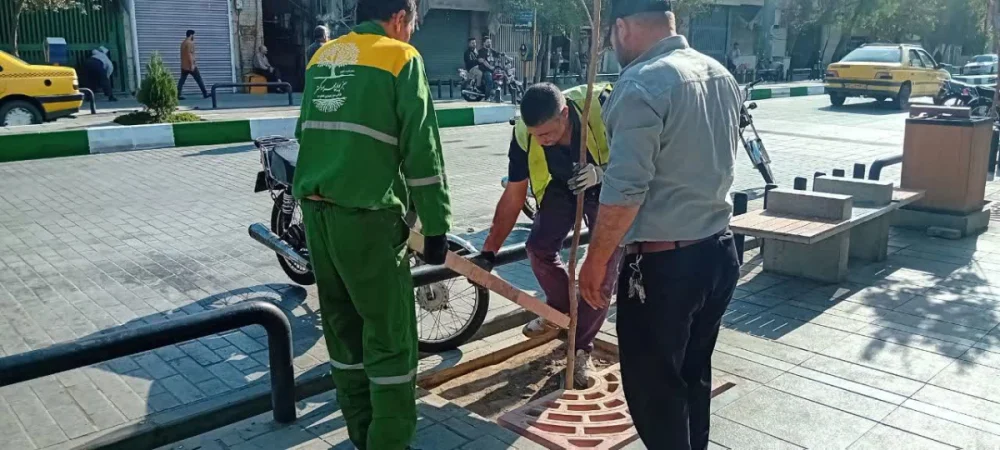 اقدام شهرداری منطقه ۷ قم برای حفظ فضای سبز و ارتقای ایمنی پیرامون چهارراه بازار
