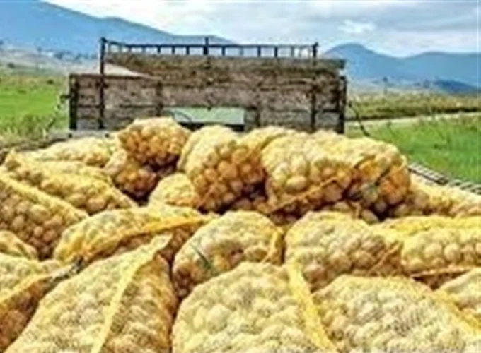 تأمین و واردات سیب‌زمینی و مواد پروتئینی برای تنظیم بازار قم